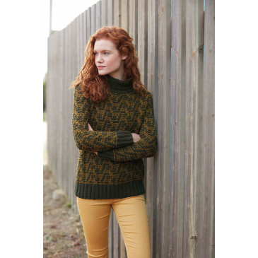 Modèle de Pull Big Atlantic