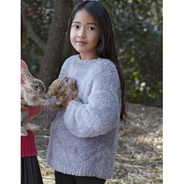 Modèle de Pull Velour