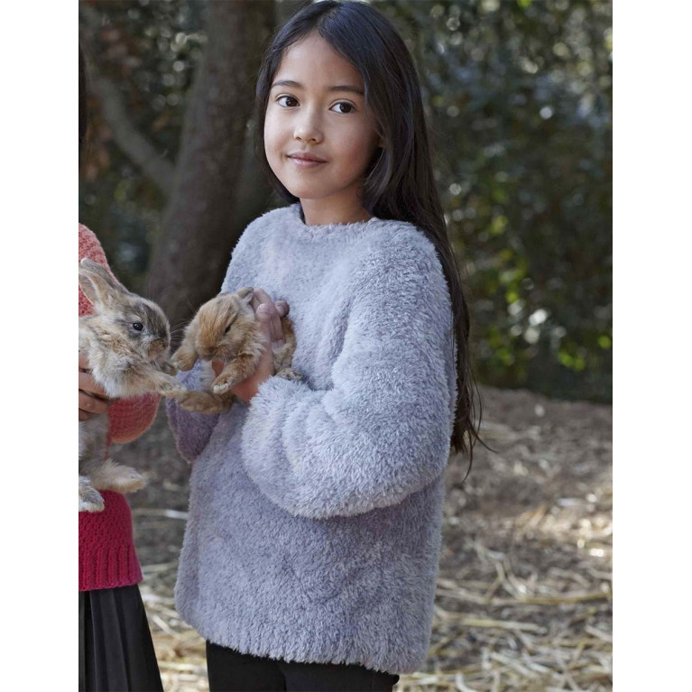 Modèle de Pull Velour