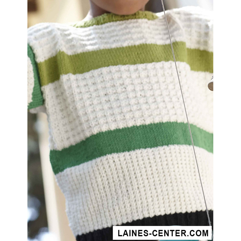 Modèle de Pull Missouri