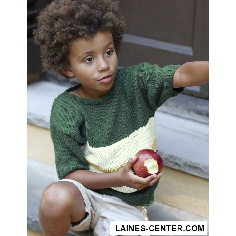 Modèle de Pull Cotton 100%