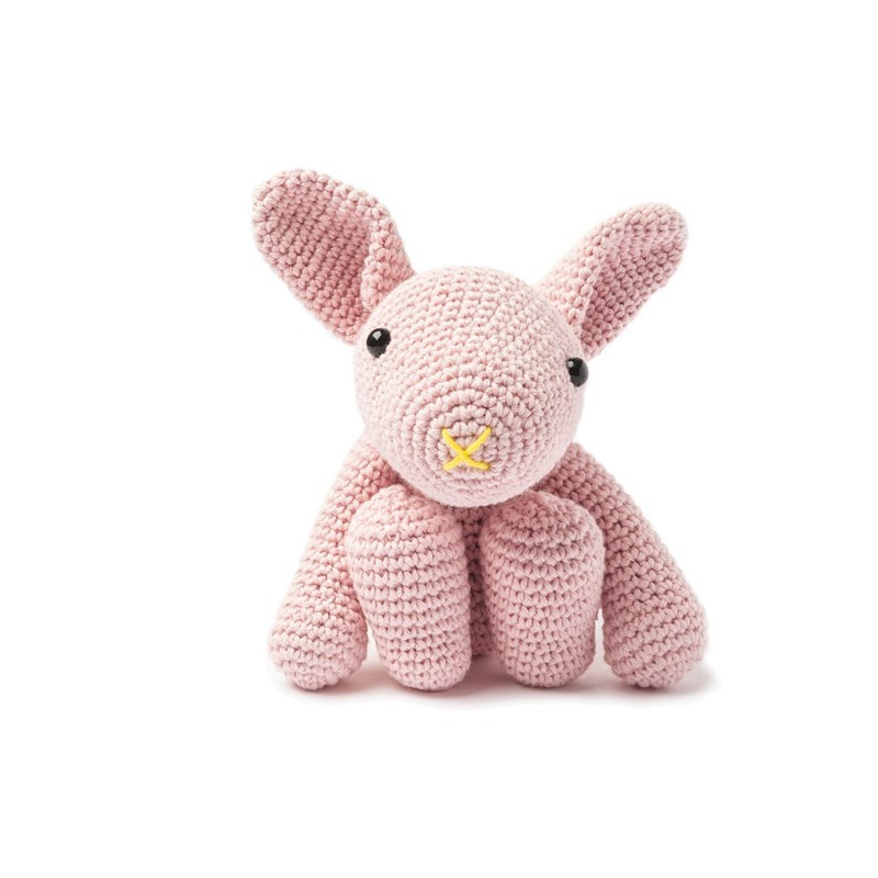 Modèle de Lapin Rose