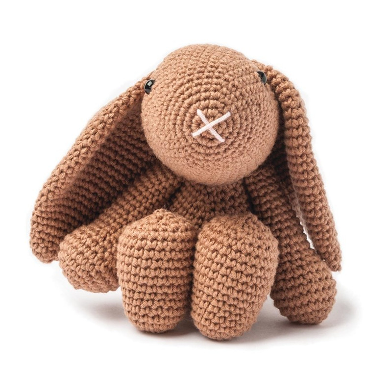 Modèle de lapin praline