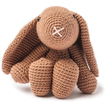 Modèle de lapin praline