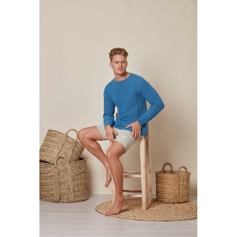 Modèle de Pull Missouri