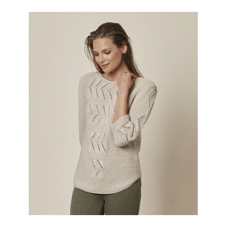 Modèle de Pull Cotton 100%