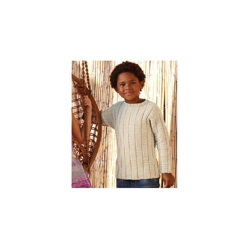 Modèle de Pull Alabama