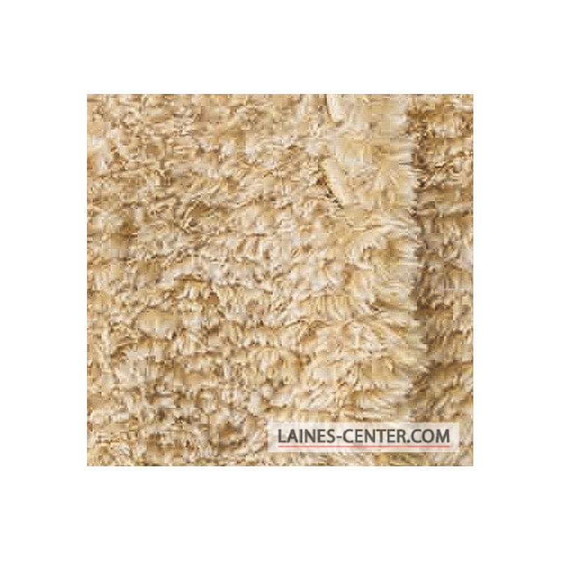 Modèle de Gilet Polar