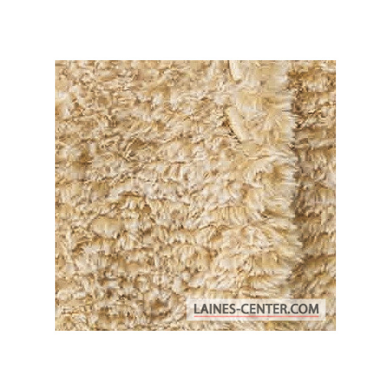 Modèle de Gilet Polar